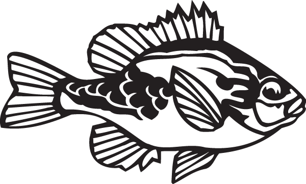 (image for) Bluegill Decal