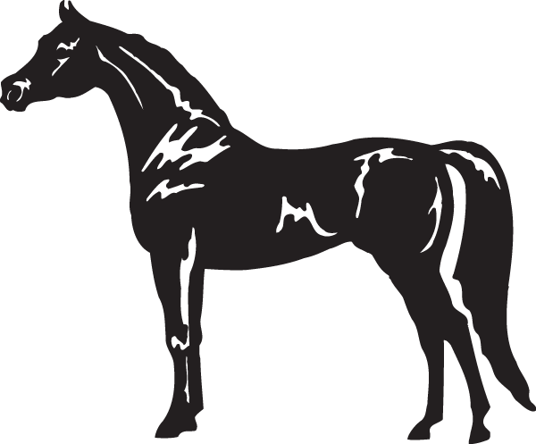 (image for) Arabian Decal
