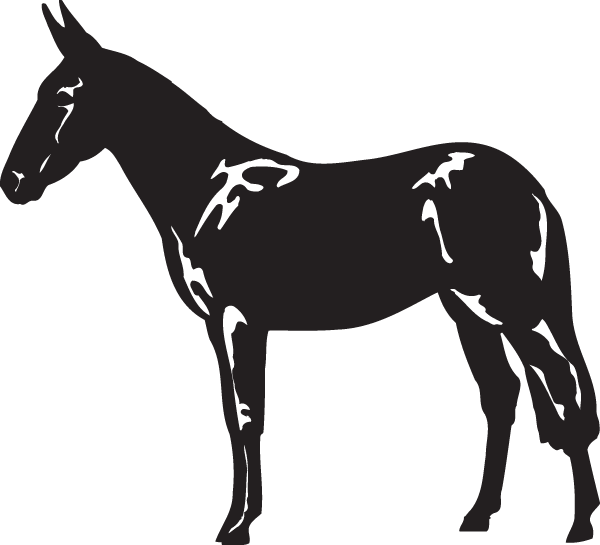 (image for) Mule Decal