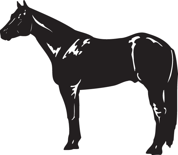(image for) Standing Horse Decal