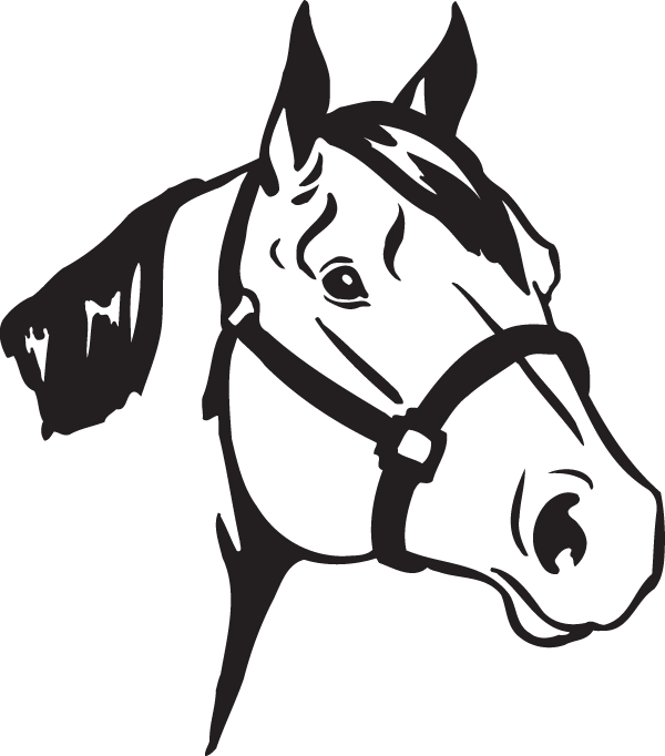 (image for) Curious Horse Decal