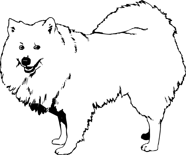 (image for) Samoyed Decal