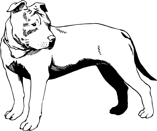 (image for) Pit Bull Decal