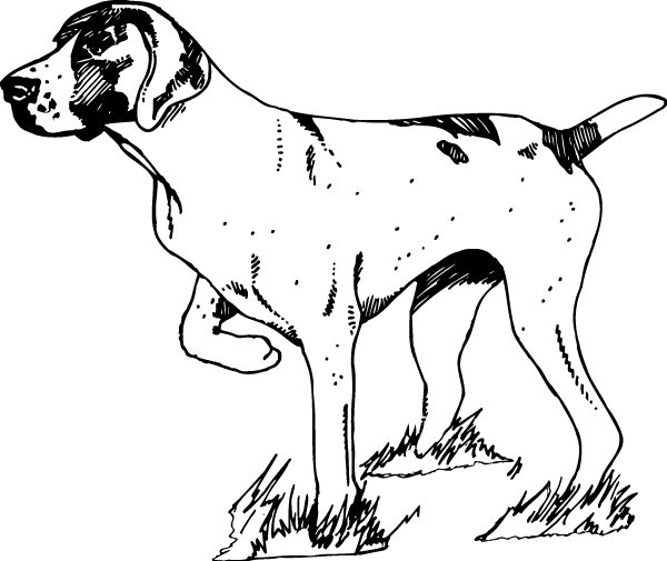 (image for) Pointer Decal