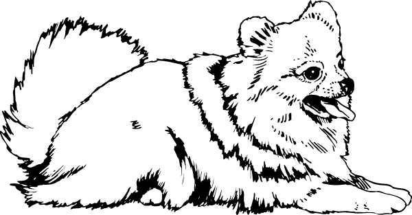 (image for) Pomeranian Decal