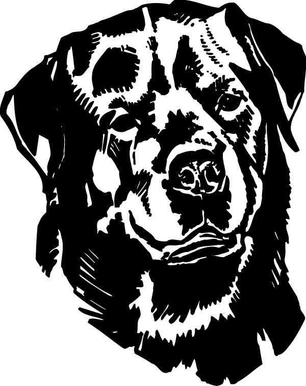 (image for) Rottweiler Head View Decal