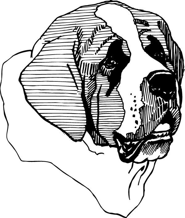 (image for) Saint Bernard Decal
