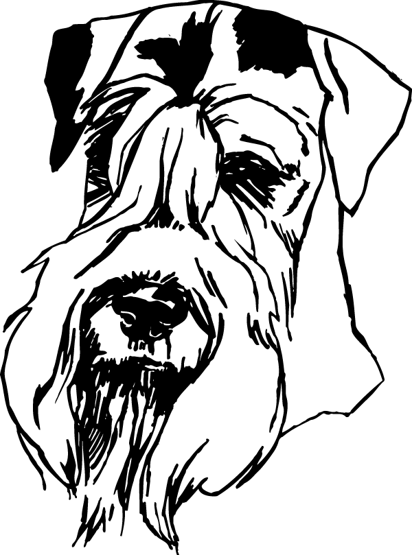(image for) Schnauzer Head View Decal