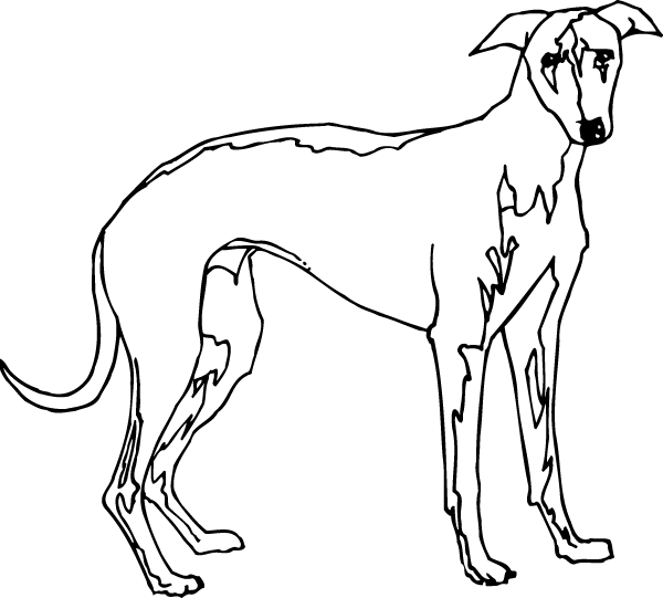 (image for) Greyhound Decal