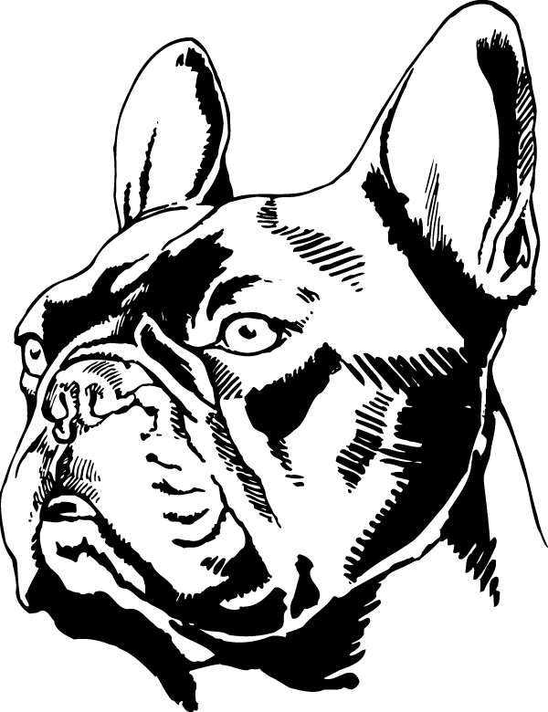 (image for) French Bulldog Head Decal