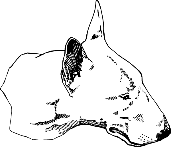 (image for) Bull Terrier Head Decal