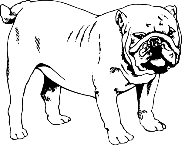 (image for) Happy Bulldog Decal