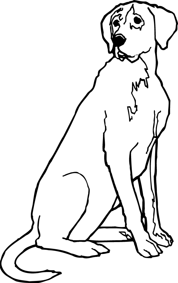 (image for) Labrador Sitting Decal