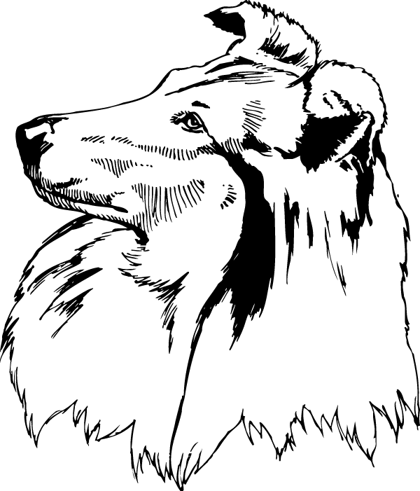 (image for) Loyal Collie Decal
