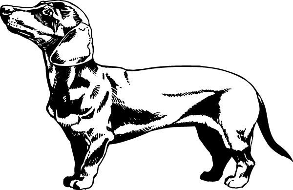 (image for) Dachshund "weenie" Dog decal