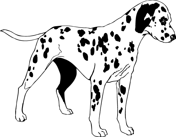 (image for) Dalmation Decal