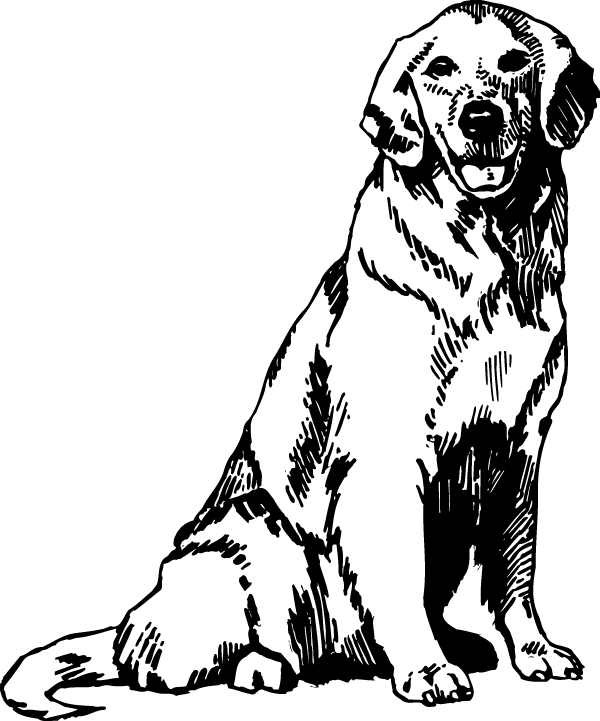 (image for) Nice Labrador Decal