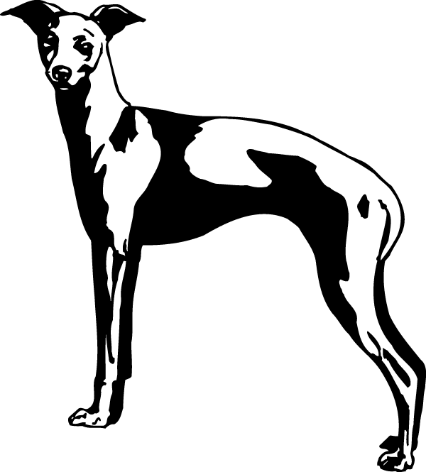 (image for) Italian Greyhound Decal