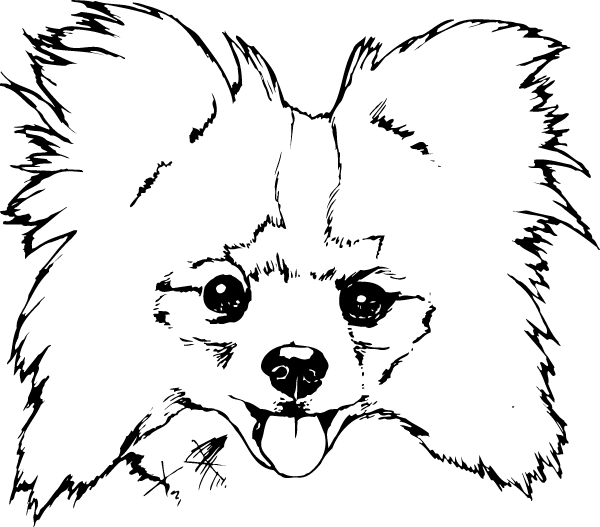 (image for) Papillon Decal