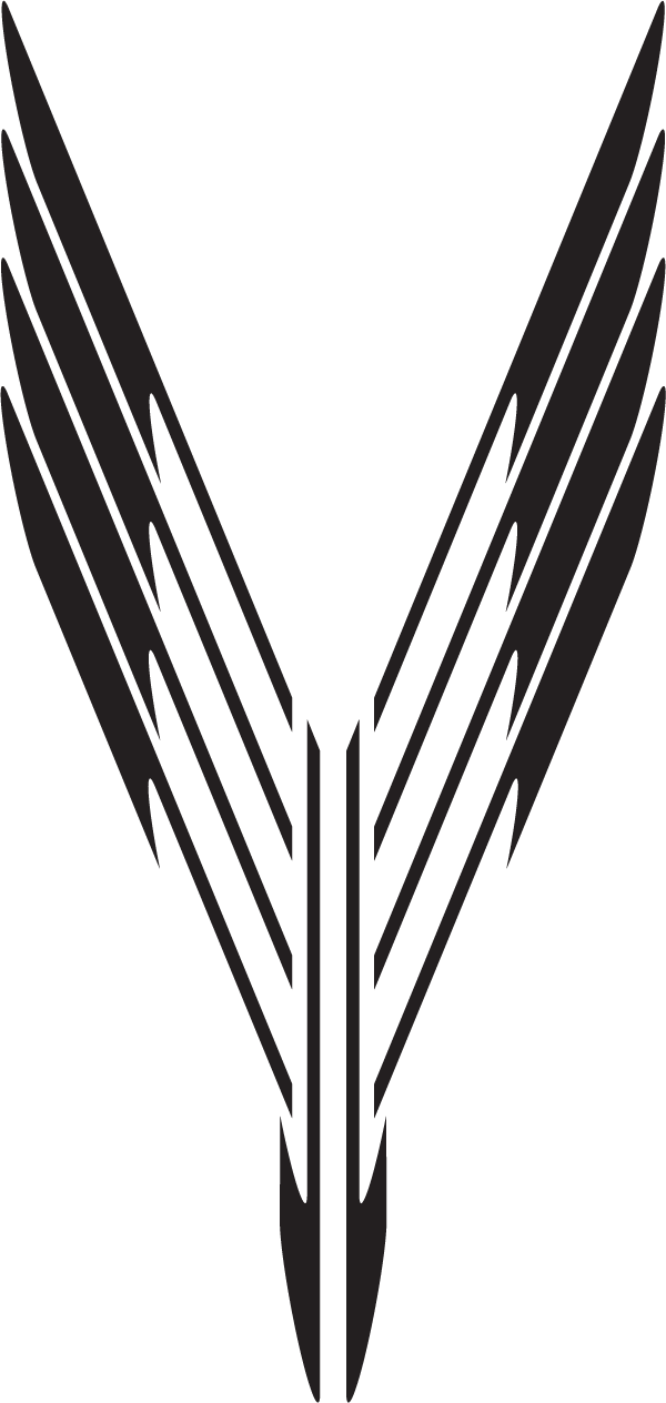 (image for) Crazy Quickness Hood Decal