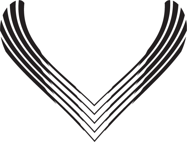 (image for) Air Force Hood Decal