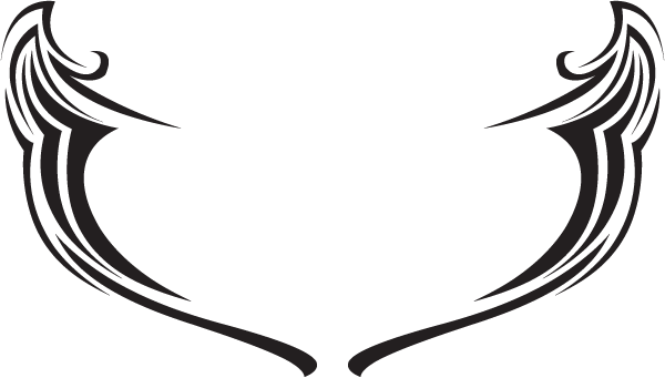 (image for) Divide Hood Decal