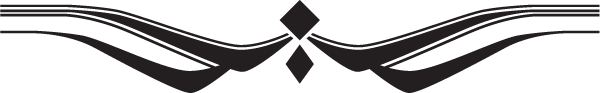 (image for) Diamond Beach Hood Decal