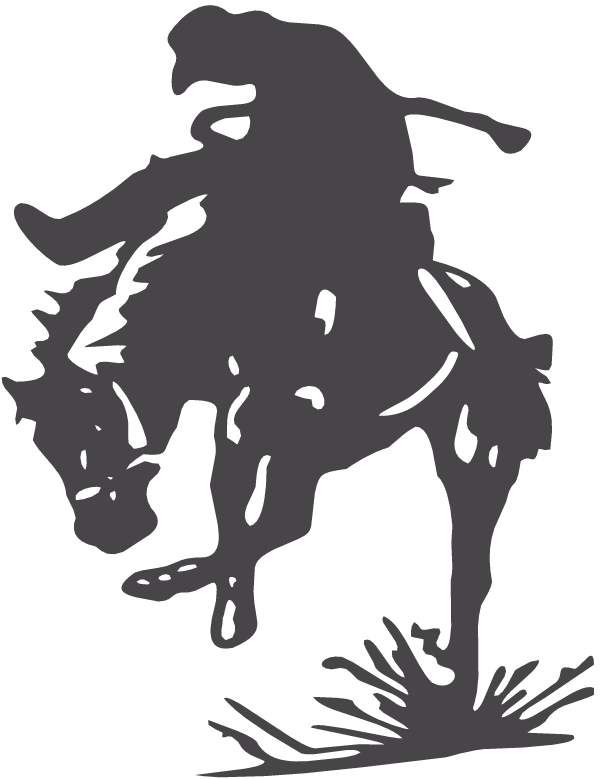 (image for) Texas Cowboy Decal