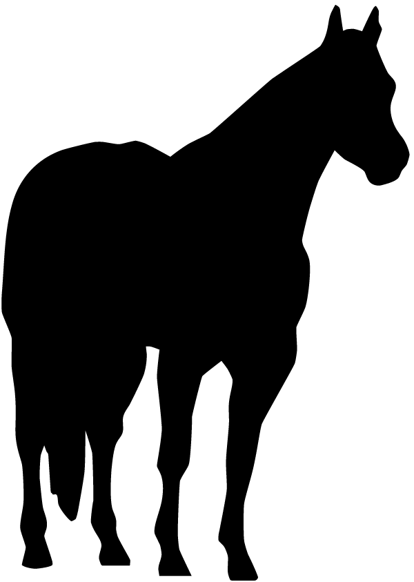 (image for) Quarter Horse Decal