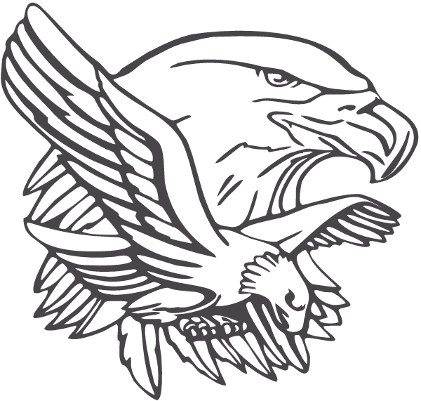 (image for) Bald Eagle Tribute Decal