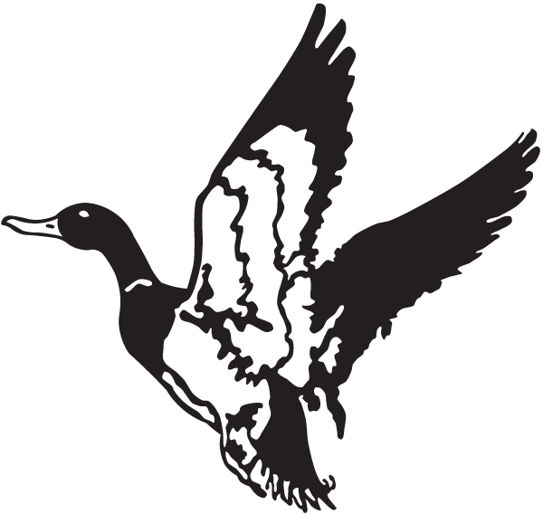 (image for) Flying Duck Decal