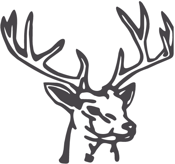 (image for) Monster 10 Point Buck Decal