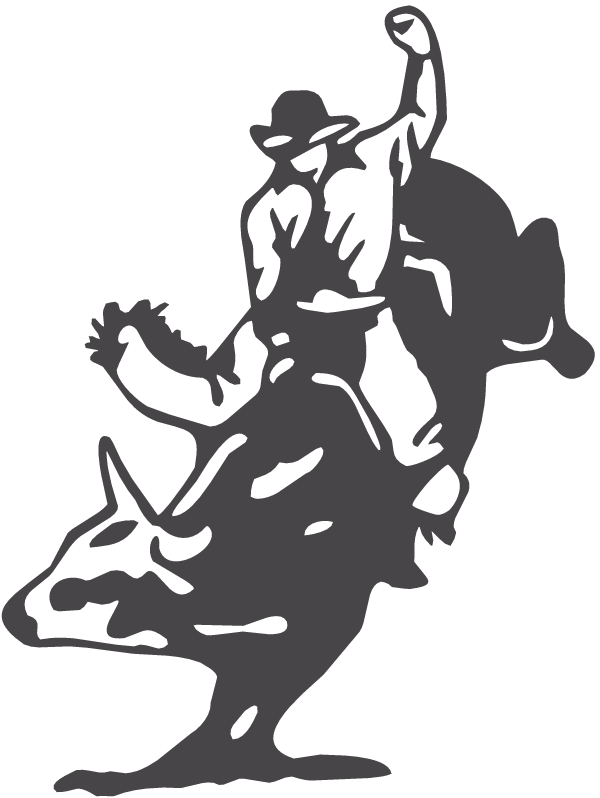 (image for) World Champion Bull Rider Decal