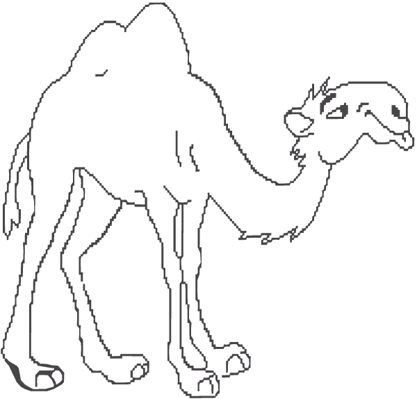 (image for) Silly Camel Decal