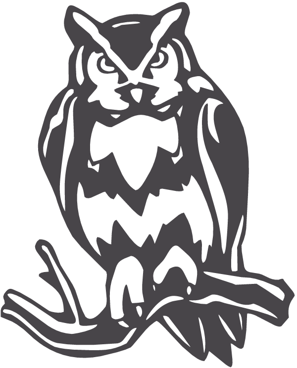 (image for) Owl Decal