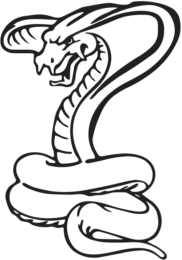 (image for) Evil Cobra Decal