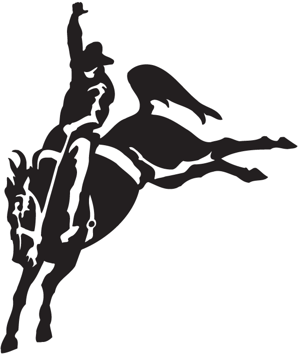 (image for) Bronco Rodeo Decal