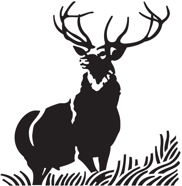 (image for) Trophy Elk Decal