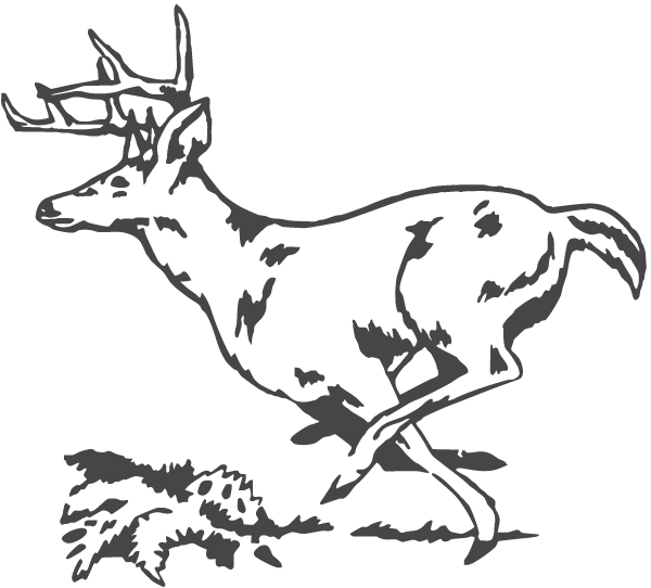 (image for) Deer Sticker