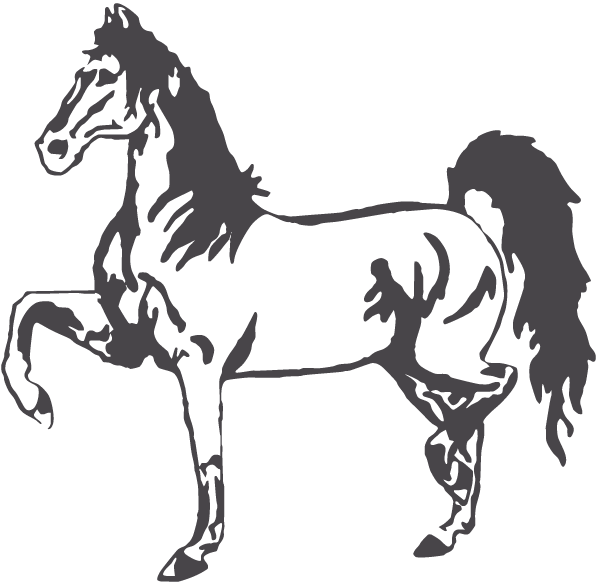 (image for) Tennessee Walker Decal