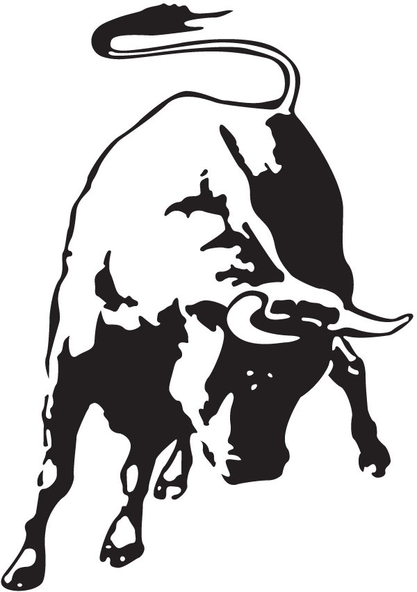 (image for) Raging Bull Decal