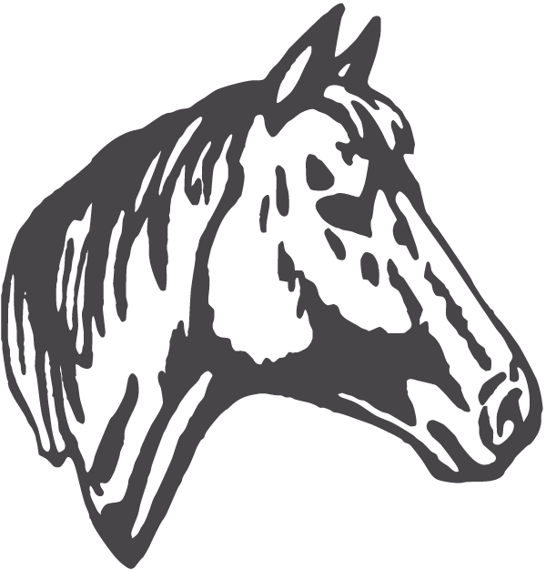 (image for) Gentle Horse Head Decal
