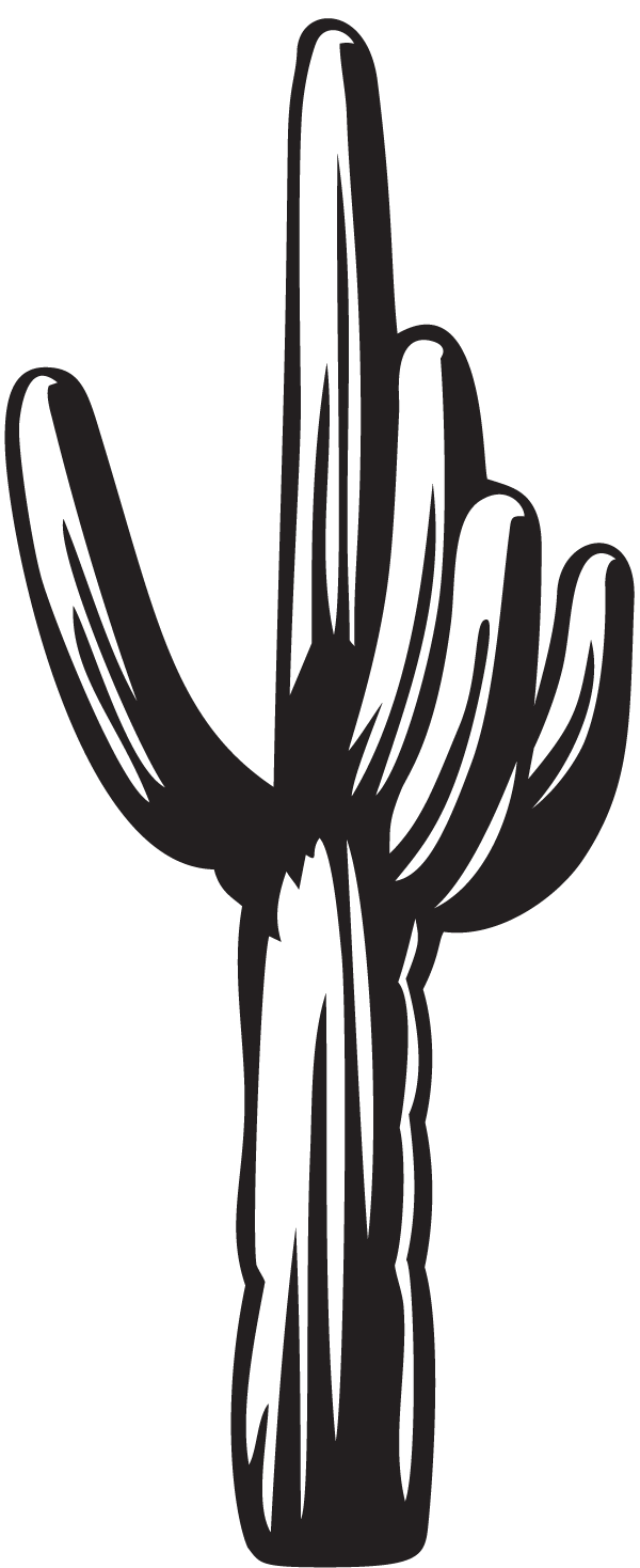 (image for) Cactus Decal