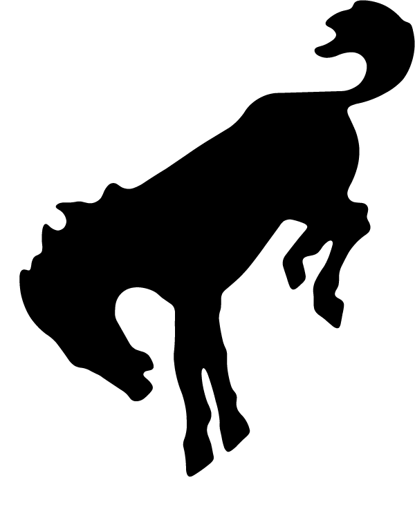 (image for) Buckin' Bronco Horse Decal
