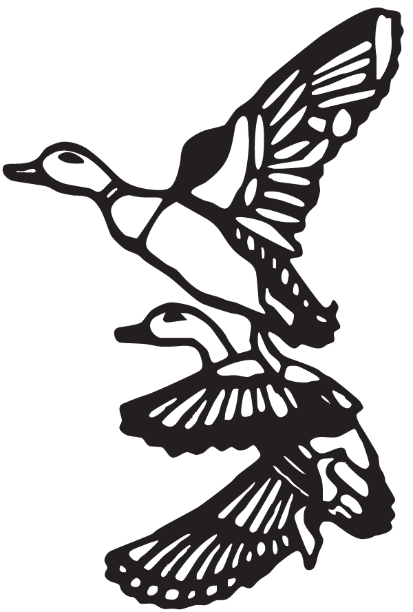 (image for) Migrating Mallards Decal