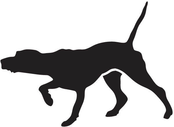 (image for) English Pointer Decal