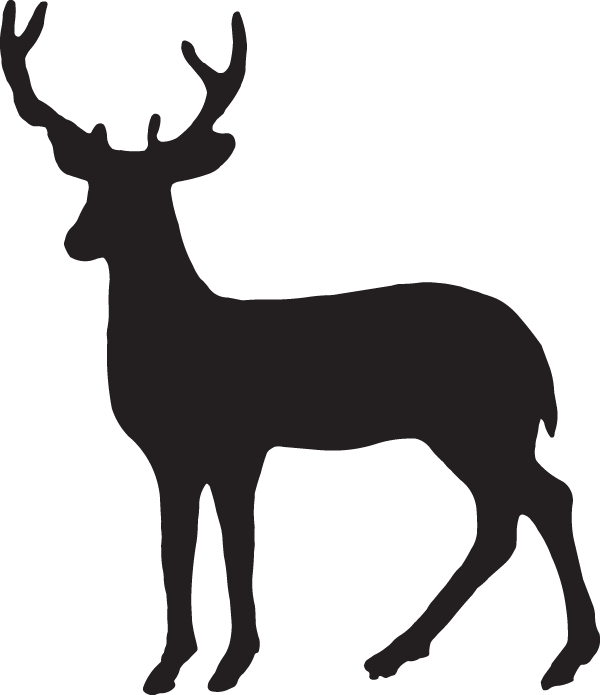 (image for) Six Point Buck Decal