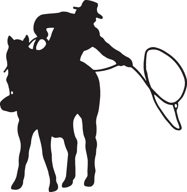 (image for) Lasso Decal