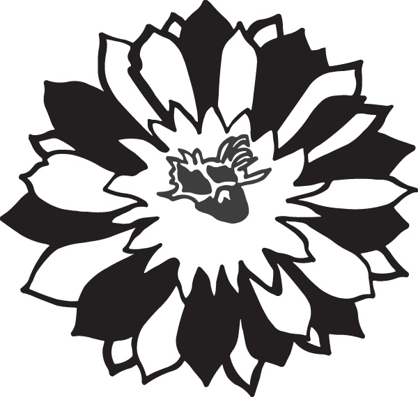 (image for) Desert Flower Decal