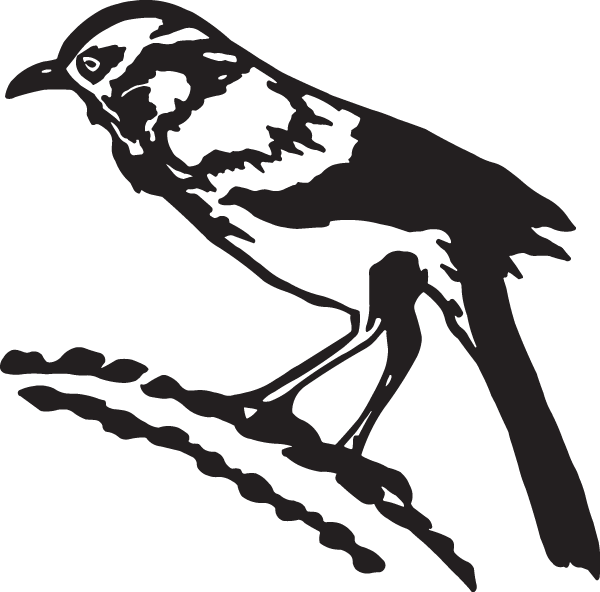 (image for) Sparrow Decal